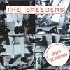 Nevermind the Pixies Here's the Breeders - Bootleg