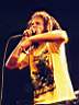 Rocha09.jpg