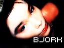 Bjork_02.jpg