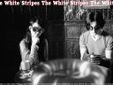 White_Stripes_24.jpg